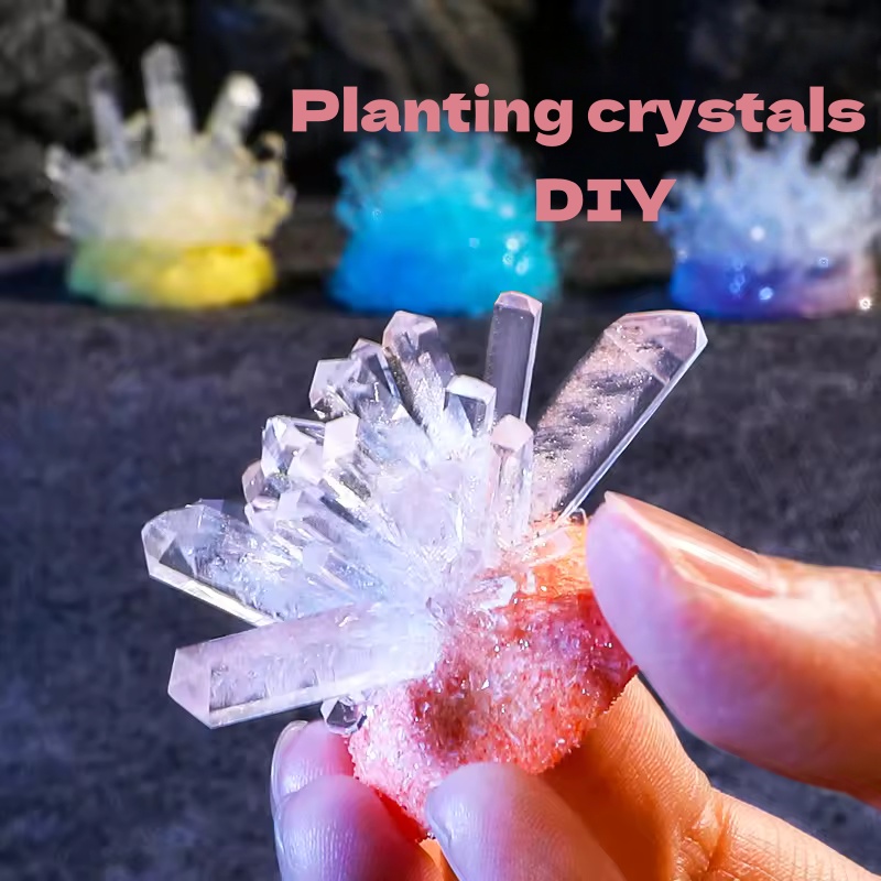 Plant Parent Contact - ชุดทดลองวิทยาศาสตร์ปลูกผลึกคริสตัล DIY การสื่อสารที่สนุกสนานระหว่างพ่อแม่และลูก การทดลองทางเคมี หลักการการตกผลึก